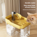 cat water fountain with filter